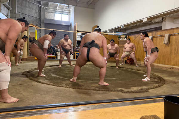 大阪場所稽古見学会